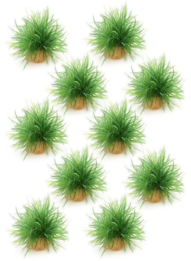 AQUA KT Aquarium Landscape Foreground Grass Seaweed Green Plants for Marine Freshwater Fish Tank Decoration, Pack of 10 - Image 1